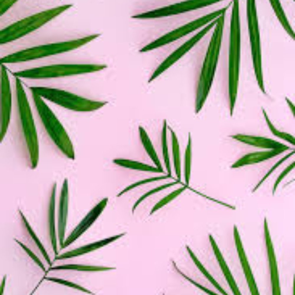 SUMMER CROP TOP MYSTERY BOX (sizes xsmall-small)